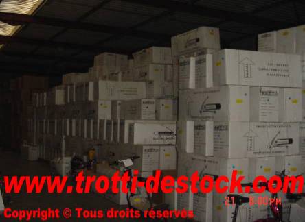 WWW.TROTTI-DESTOCK.COM : DESTOCKAGE TROTTINETTES,SCOOTERS ELECTRIQUE ET Sns-Brigh10